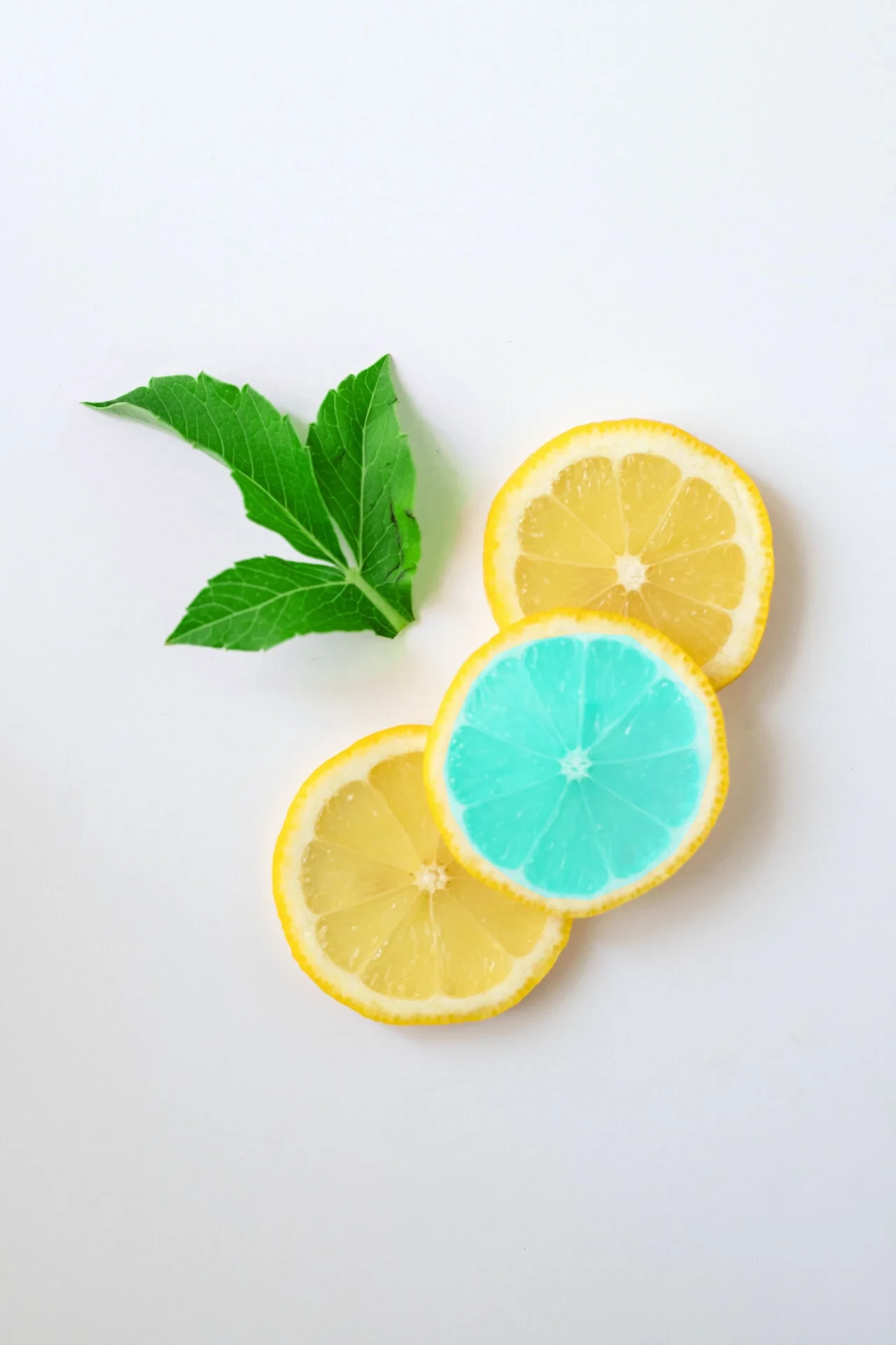 lemon design